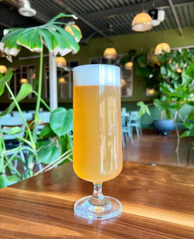 Our favorite, Rose Hip Loggerbier is new in the taproom today! For this beer we take Loggerbier and "Dry Hip" it with organic rose hips. The result is a slightly tart, slightly sweet, slightly citrus version of Loggerbier that is oh so special. 

Come see us tonight, or join us tomorrow for @macabremarkethtx at 5pm!